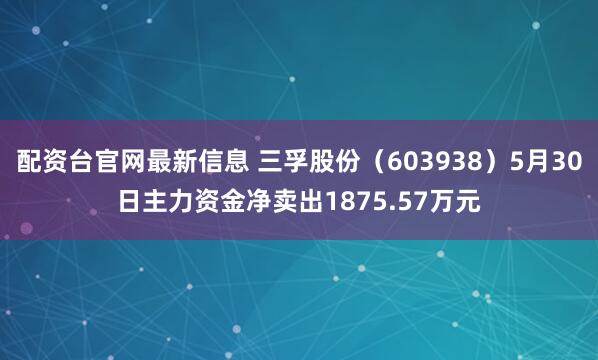 配资台官网最新信息 三孚股份（603938）5月30日主力资金净卖出1875.57万元