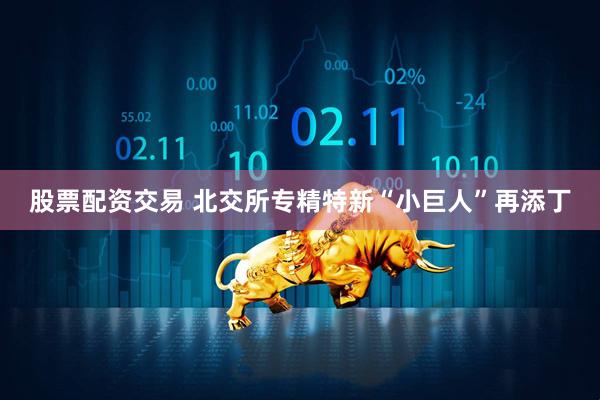 股票配资交易 北交所专精特新“小巨人”再添丁